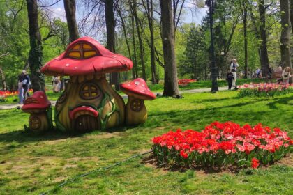 Confuzie virală: Au vrut la Cracovia, au aterizat la Craiova