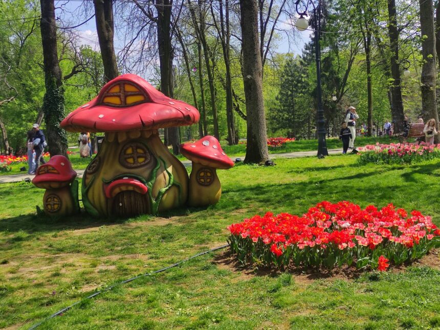 Confuzie virală: Au vrut la Cracovia, au aterizat la Craiova