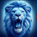 Clujenii s-au convins de forța Universității Craiova