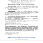 Official press release page header with EU and Romanian logos; title announces grant for digitalization of companies and adoption of digital technologies.