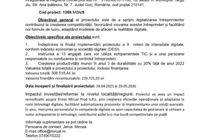 Official press release page header with EU and Romanian logos; title announces grant for digitalization of companies and adoption of digital technologies.