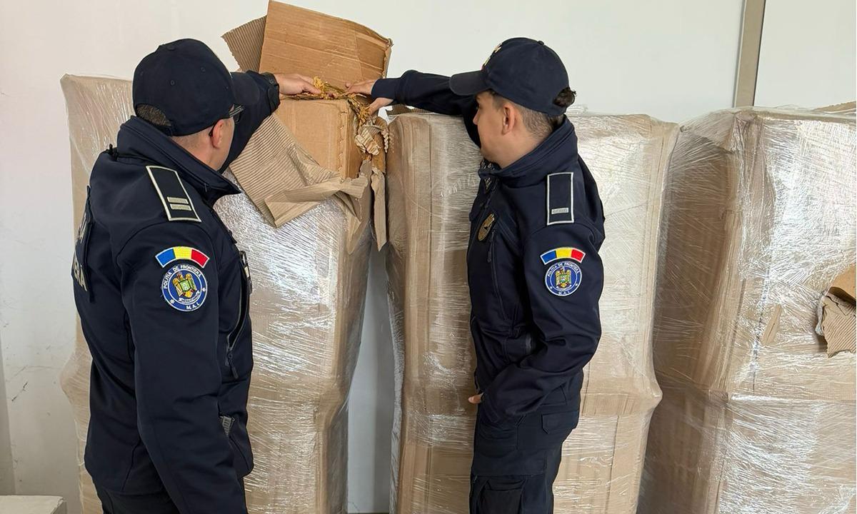 Peste o tonă de tutun descoperită de polițistii de frontieră