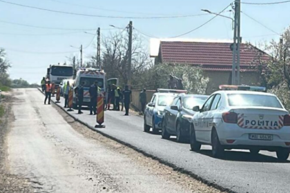 Police and road workers conducting a roadside stop on a rural street, with a police car, a worker in a reflective vest, and traffic cones along the road.