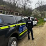 Controale în Severin: Adăposturi de câini desființate