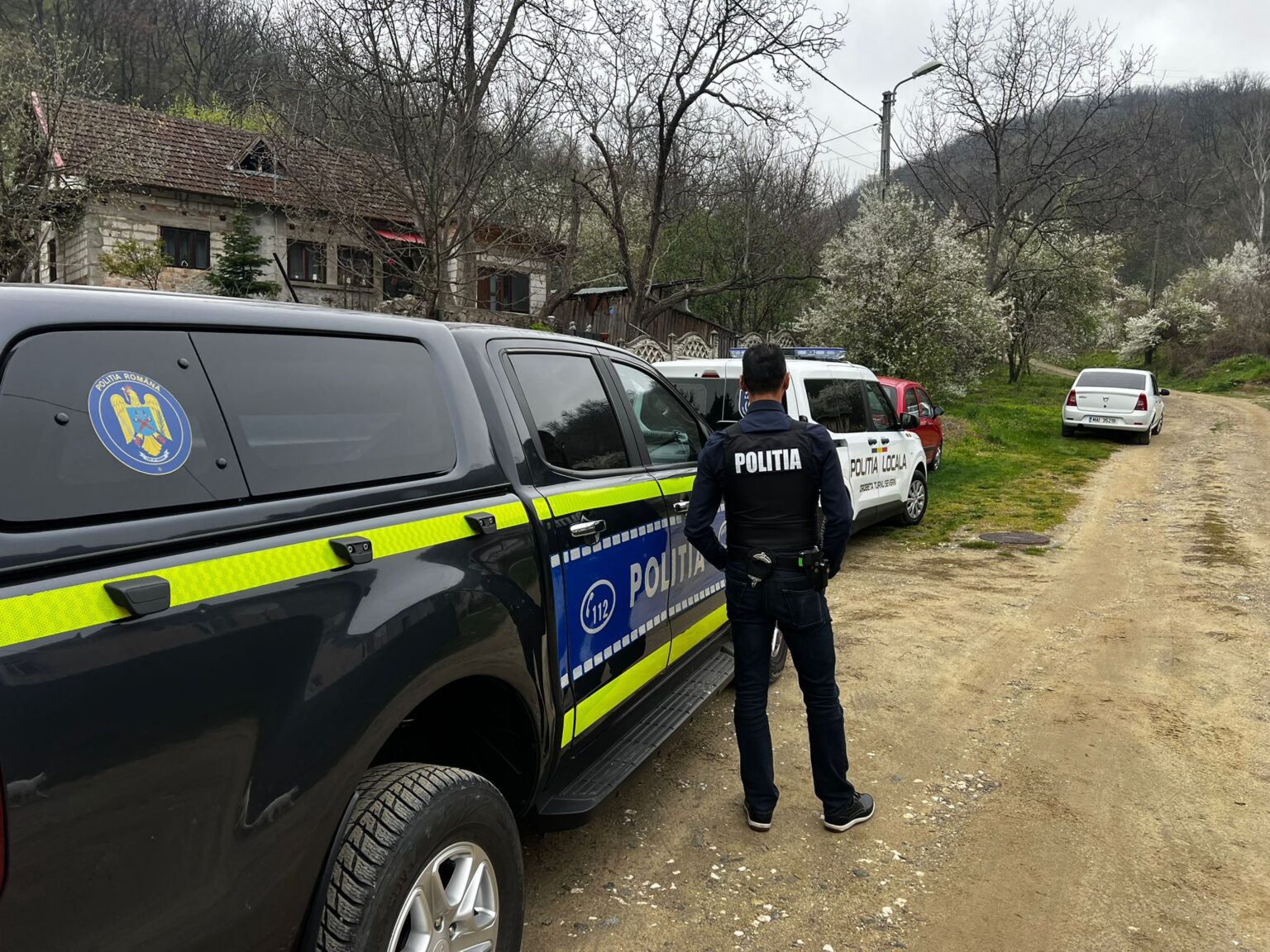 Controale în Severin: Adăposturi de câini desființate