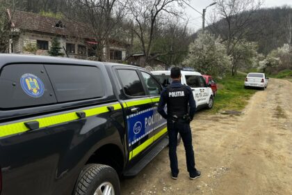 Controale în Severin: Adăposturi de câini desființate