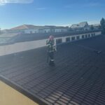 ISU Vâlcea: Pisică salvată de pe o școală din Drăgășani