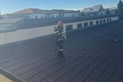 ISU Vâlcea: Pisică salvată de pe o școală din Drăgășani