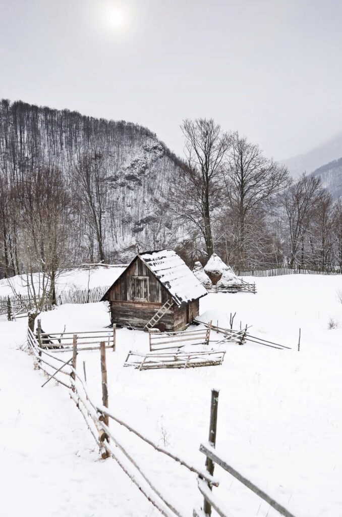 Snow-covered rural scene with a weathered wooden cabin, bare trees, and a split-rail fence in a snow-blanketed field.
