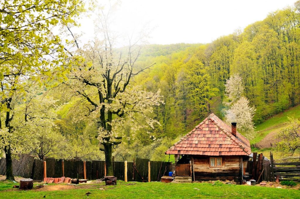 Rustic wooden cabin with a red-tiled roof in a grassy yard, surrounded by blossoming trees and a wooden fence in a spring valley.