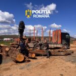 Controale dure în Vâlcea: lemne confiscate și sancțiuni