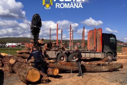 Controale dure în Vâlcea: lemne confiscate și sancțiuni