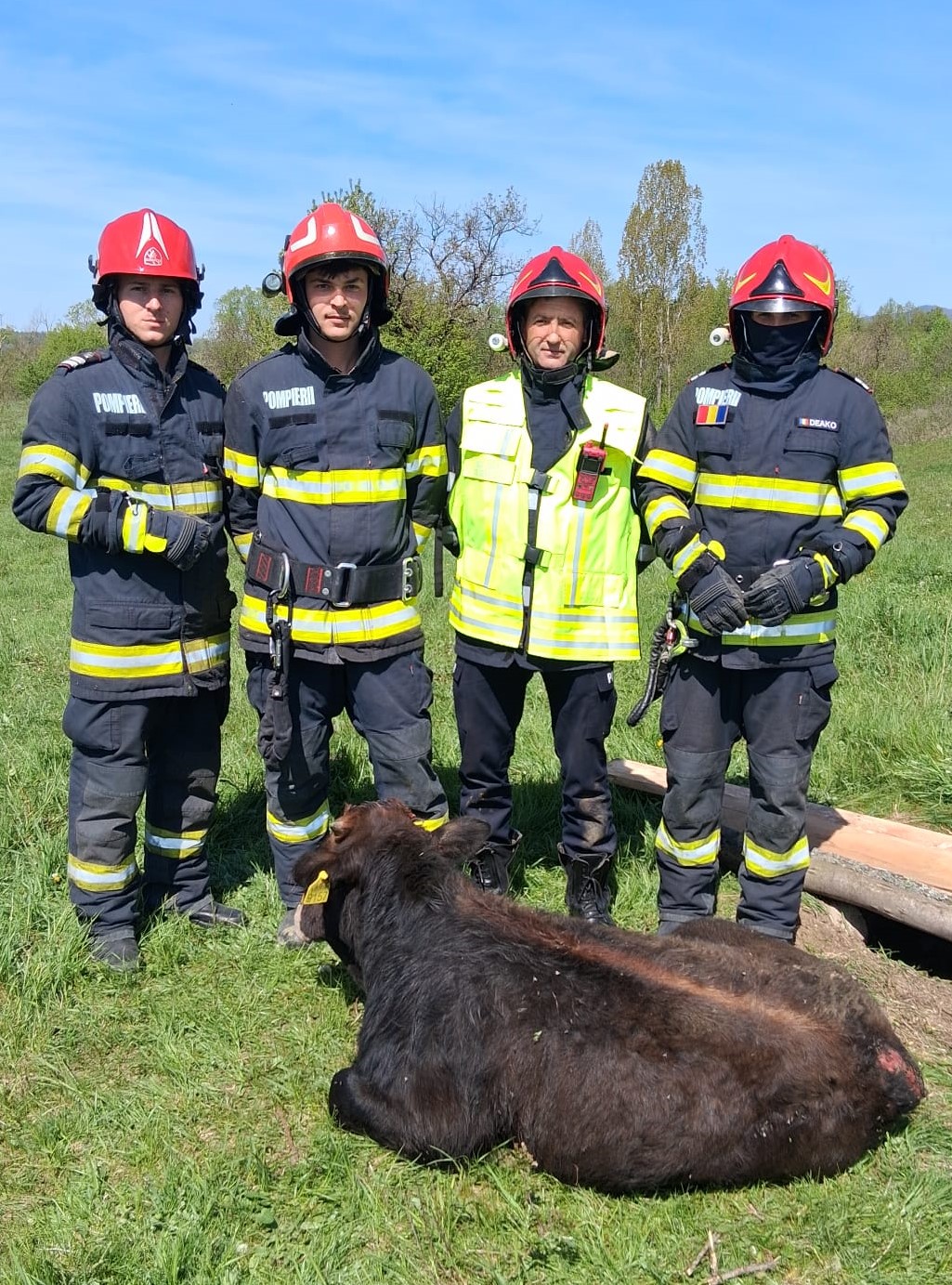 ISU Vâlcea: Vițel salvat dintr-un puț de 5 metri adâncime