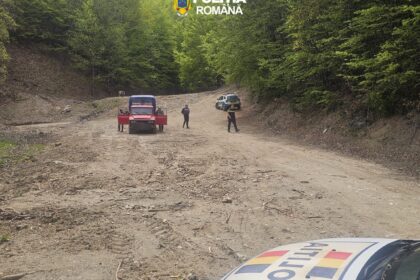 Furt de lemn în Polovragi: doi localnici prinși în flagrant