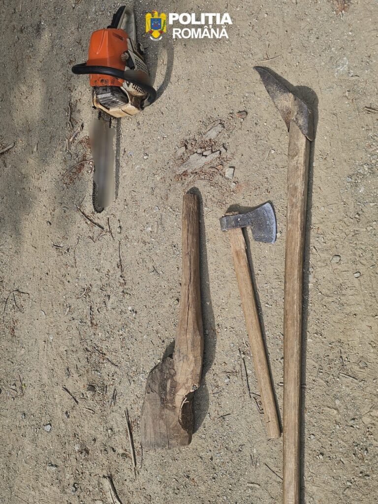 Chainsaw and two axes/hatchets resting on dirt ground beside wooden beams, with a Romanian police logo in the upper corner.
