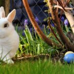 Paștele ortodox vs. catolic: Datele exacte pentru 2027-2036