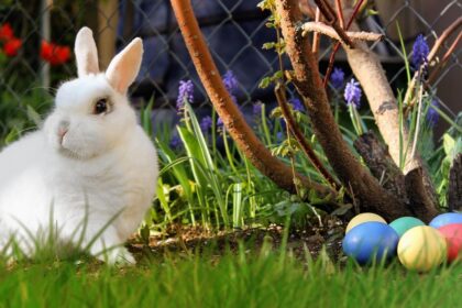 Paștele ortodox vs. catolic: Datele exacte pentru 2027-2036