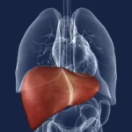 Semnele ignorate care arată că alcoolul în exces îți afectează ficatul