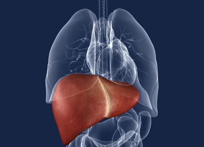 Semnele ignorate care arată că alcoolul în exces îți afectează ficatul