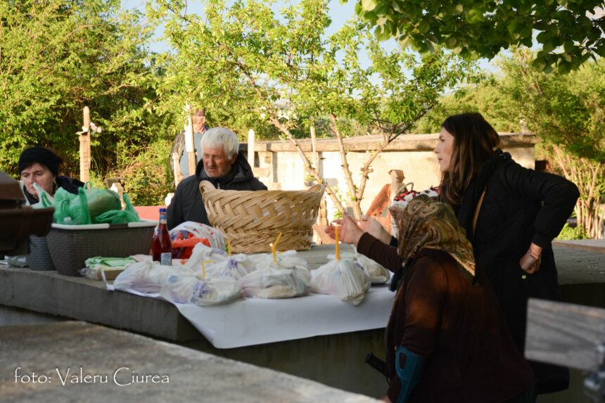 People sit around a table outdoors with bags of groceries and baskets on a sunny day under trees in a yard or garden setting.