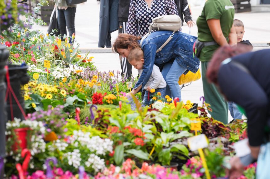 Craiova: Înscrieri pentru Târgul de Hand-Made și Antichități și ExpoFlora 2026
