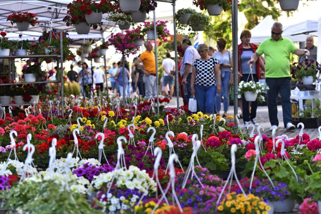 Outdoor flower market with colorful potted blooms and shoppers in the background, creating a lively scene.