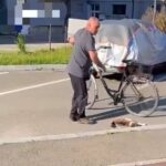 Bărbat reținut după ce a ucis cu brutalitate o pisică