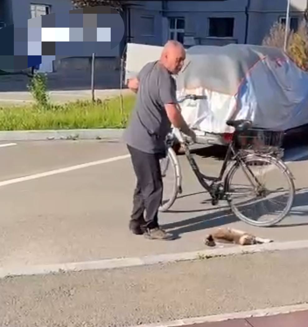 Bărbat reținut după ce a ucis cu brutalitate o pisică
