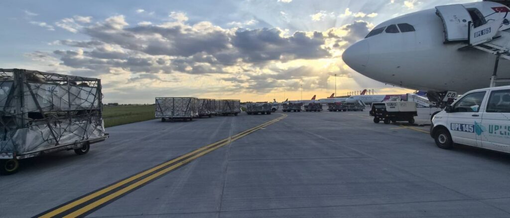 ANSVSA: România exportă ovine în Algeria cu avioane