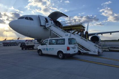 ANSVSA: România exportă ovine în Algeria cu avioane