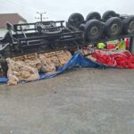 Accident în Gorj: șofer de tir decedat la Țânțăreni