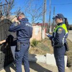 Amenzi mari în Vâlcea pentru deținătorii de animale