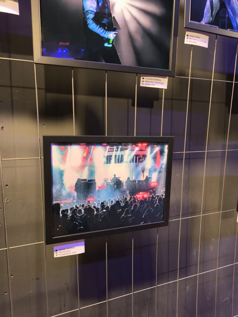 Two framed concert photos on a tiled wall: top frame shows a performer on blue-lit stage, bottom frame shows a large cheering crowd at a concert.