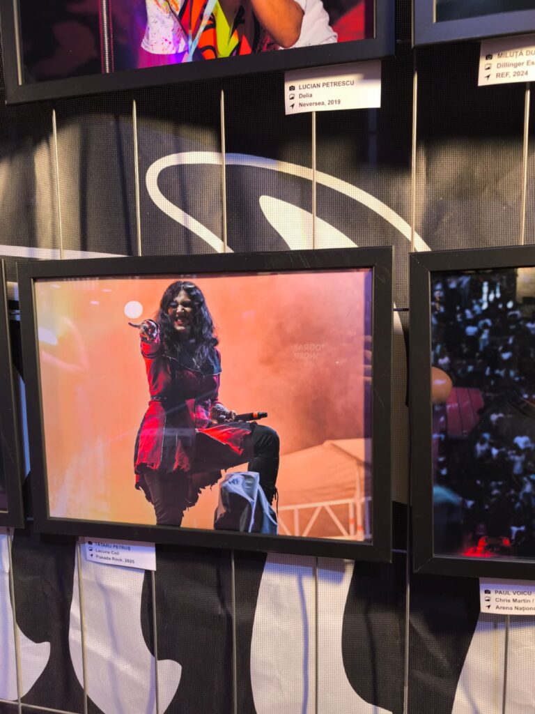Framed photo of a female singer in a red outfit performing on stage, part of an exhibition display on a wall