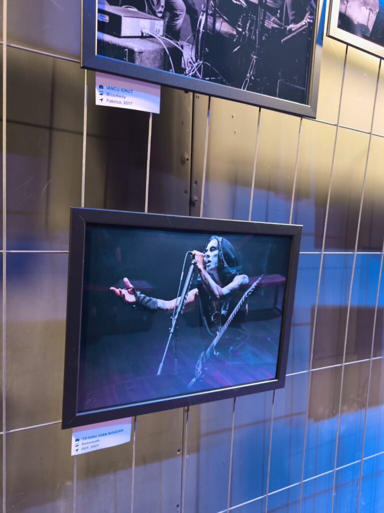 Framed concert photo of a guitarist vocalist on stage, singing into a microphone with a guitar on a metal wall.