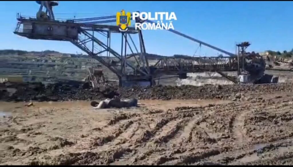 Quarry scene with a large conveyor crane; a person lies on muddy ground near water; Poliția Română watermark.