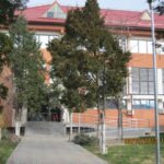 Brick building with red roof and large windows, entry stairs visible behind several trees; date stamp reads 08/03/2013 11:25.