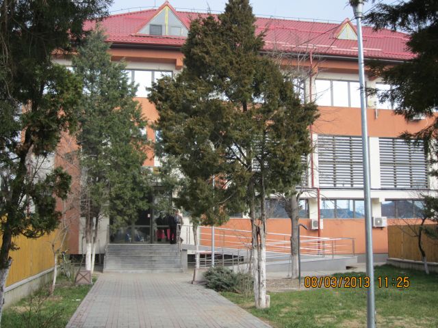 Brick building with red roof and large windows, entry stairs visible behind several trees; date stamp reads 08/03/2013 11:25.