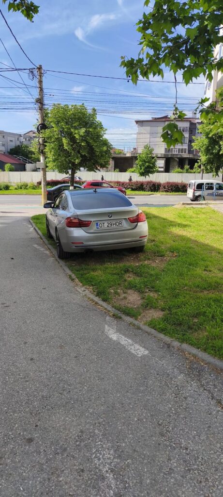 Silver BMW sedan parked on a grassy verge beside a street in a sunny residential area, with trees and power lines overhead.