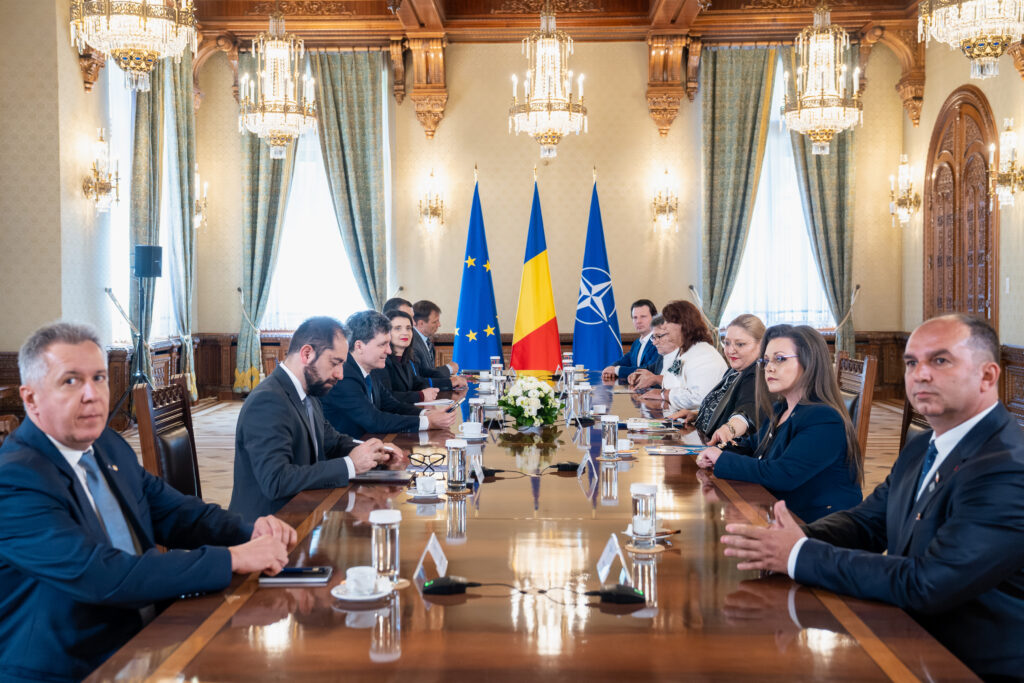 Formal meeting in a gilded room with European Union, Romanian, and NATO flags behind a long conference table; delegates in suits seated on both sides.