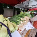 Outdoor market stall with fresh vegetables: long green onions, cabbages, and light green squash, a shopper in an orange jacket nearby under a red-and-white canopy.