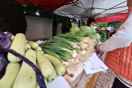 Outdoor market stall with fresh vegetables: long green onions, cabbages, and light green squash, a shopper in an orange jacket nearby under a red-and-white canopy.