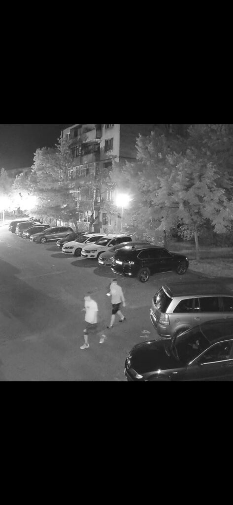 Camerele video au surprins acte de vandalism într-un parc din Severin