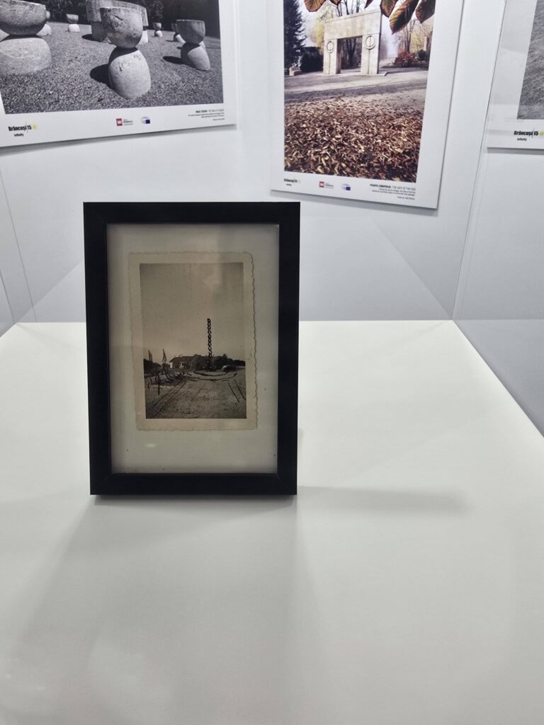 Carte poștală cu schița lui Brâncuși, expusă la PE. Foto: Victor Negrescu