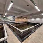 Isvarna II intră în teste: etapă importantă pentru Craiova