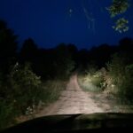 Nighttime dirt road winding through dense vegetation, illuminated by car headlights from the driver's seat view ahead