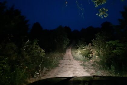 Nighttime dirt road winding through dense vegetation, illuminated by car headlights from the driver's seat view ahead
