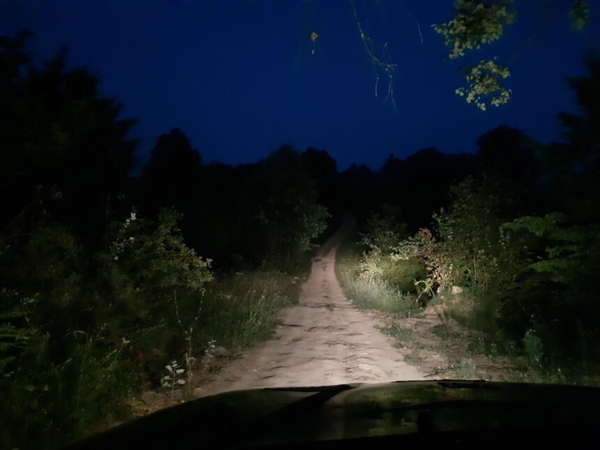 Nighttime dirt road winding through dense vegetation, illuminated by car headlights from the driver's seat view ahead