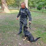 Policeman in a camo uniform with a 'POLITIA' vest stands in a park, holding a leash to a police dog wearing a matching vest.”,