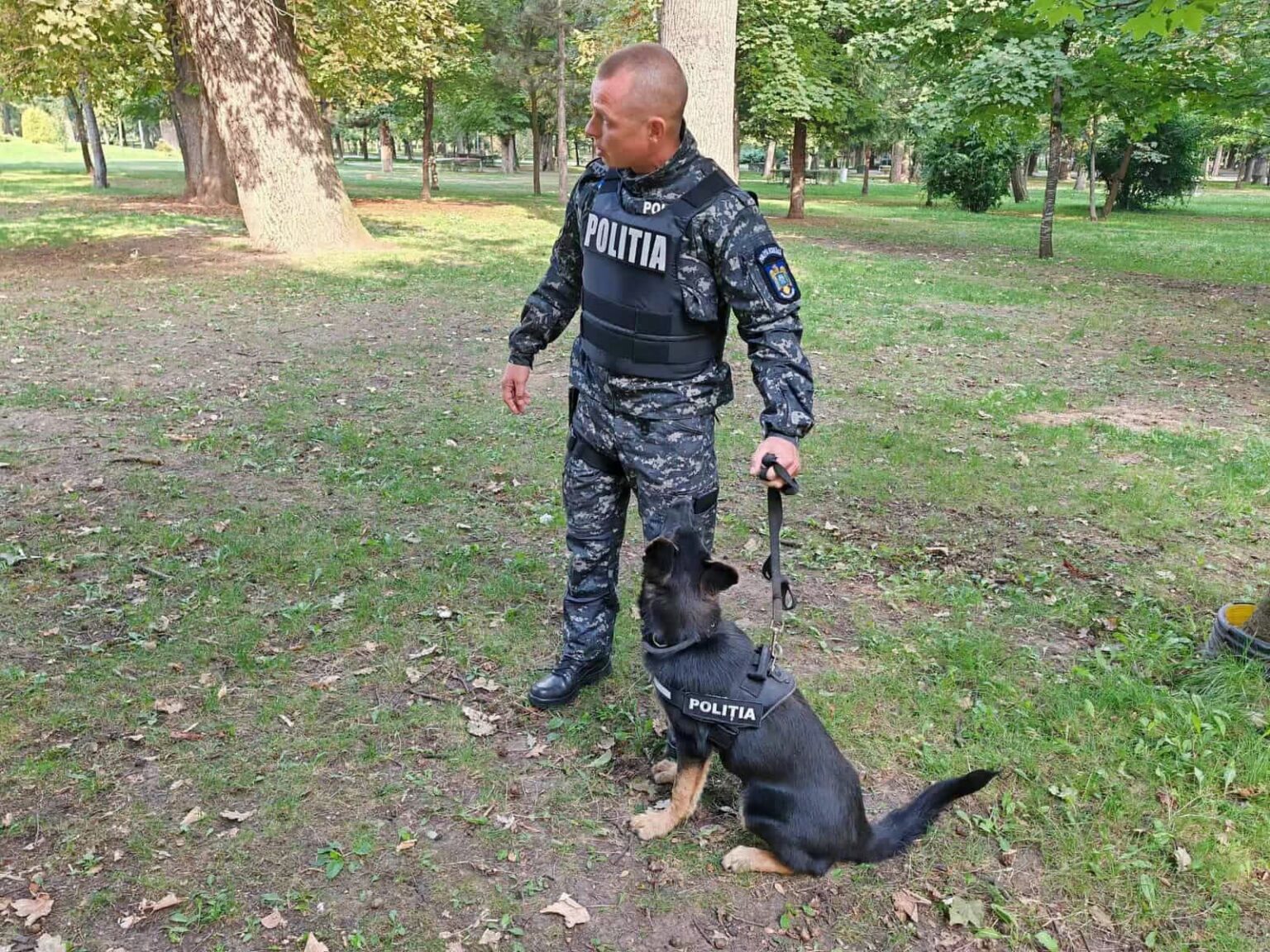 IMG-20260618-WA0004 - Jurnalul Olteniei – Știri din Craiova și Oltenia Policeman in a camo uniform with a 'POLITIA' vest stands in a park, holding a leash to a police dog wearing a matching vest.”,